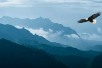 你所有的努力,都有迹可循