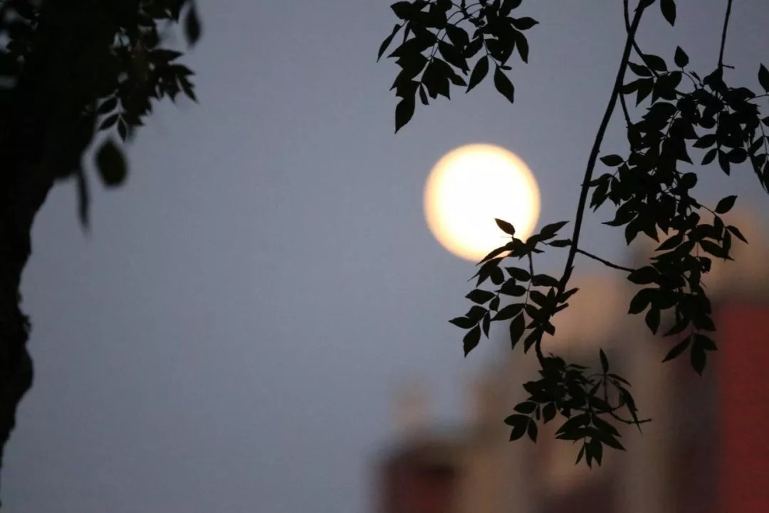 大唐最牛20位诗人,把中国最好的月色写绝了 大唐最牛20位诗人,把中国最好的月色写绝了