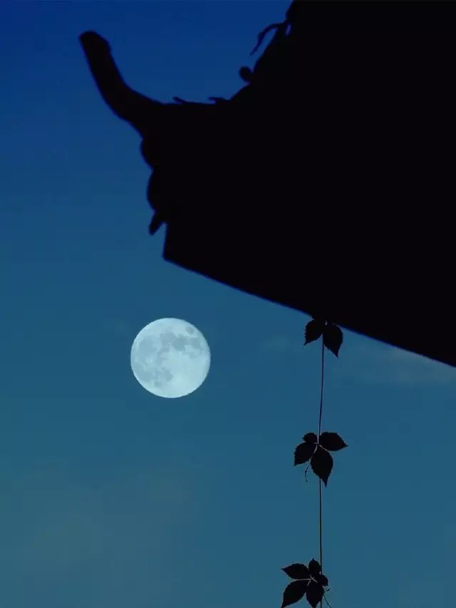 我有唐诗里的一万颗星，你有酒吗？